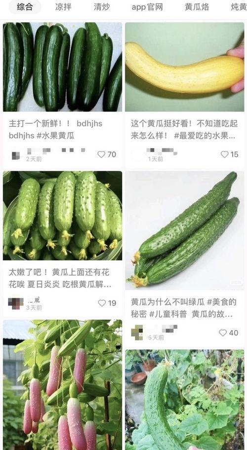 黄瓜的爆料视频在哪看,揭秘热门视频观看途径  第1张